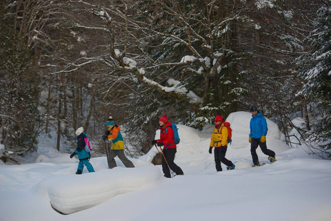 Quebec City: tour con le racchette da neve nel parco nazionale Jacques-Cartier