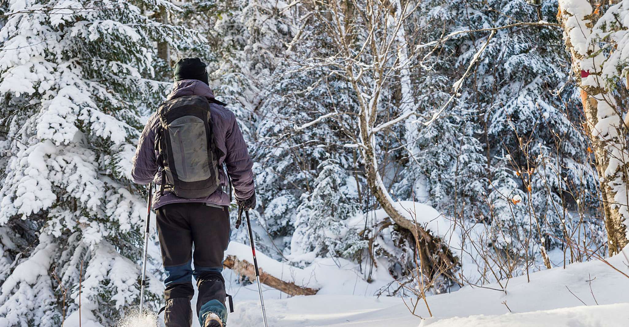 Quebec City, Jacques-Cartier National Park Snowshoeing Tour - Hizvo