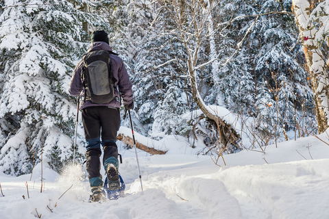 Quebec City: Jacques-Cartier National Park Sneeuwschoenwandeling