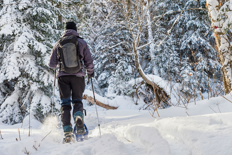 Quebec: en raquetas de nieve por el parque Jacques-Cartier