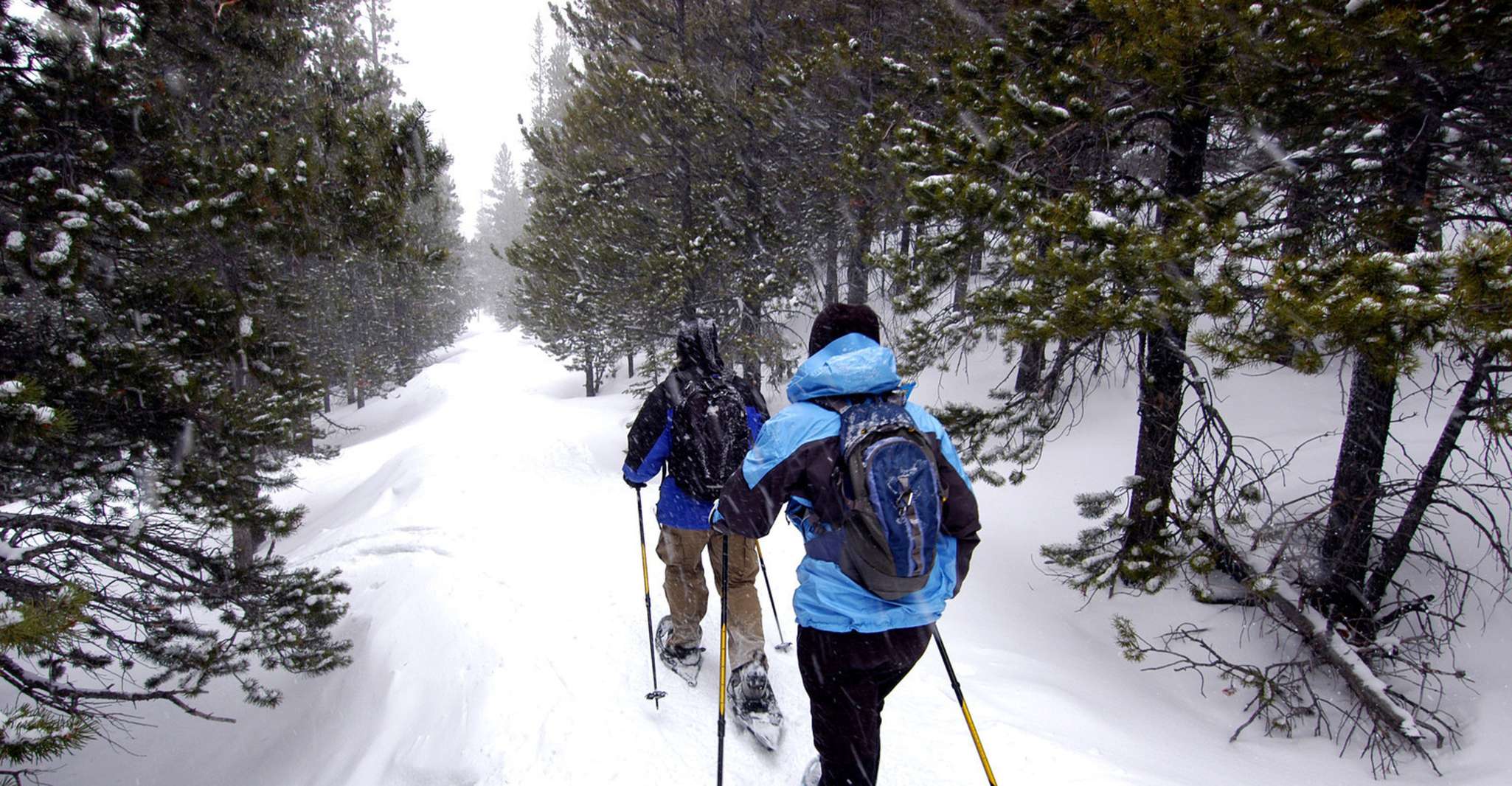 Quebec City, Jacques-Cartier National Park Snowshoeing Tour - Hizvo