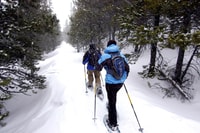 Québec, Parc national Jacques-Cartier Tournée en raquettes - Hizvo