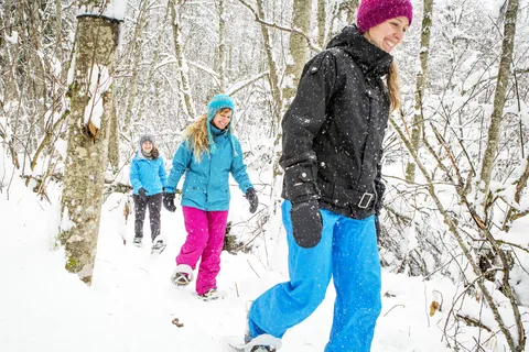 Quebec City: Jacques-Cartier National Park Snowshoeing Tour