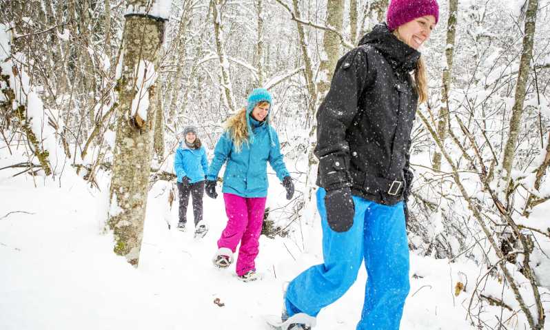 Quebec City: Jacques-Cartier National Park Snowshoeing Tour