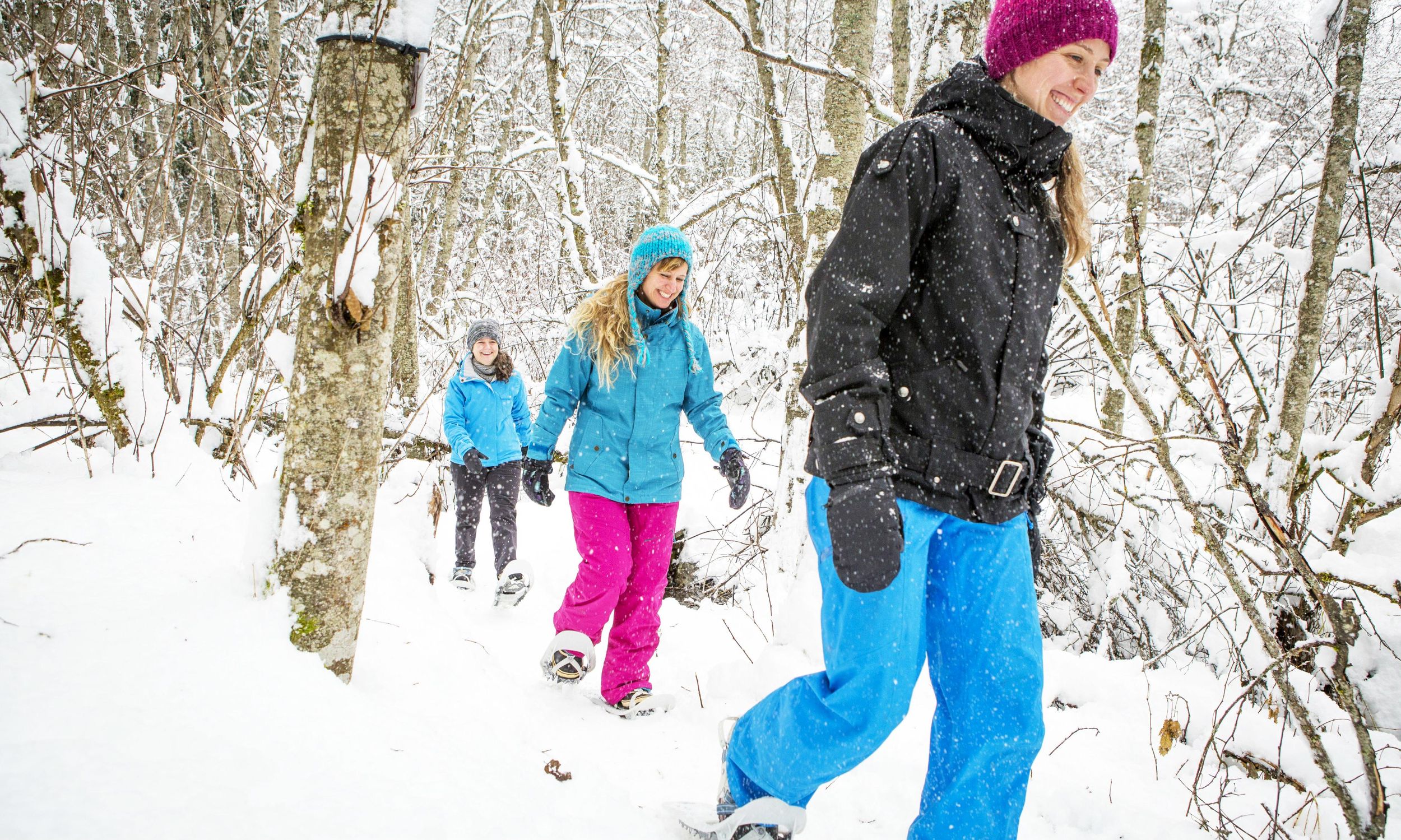 Quebec City: Jacques-Cartier-Nationalpark Schneeschuhwanderung Tour