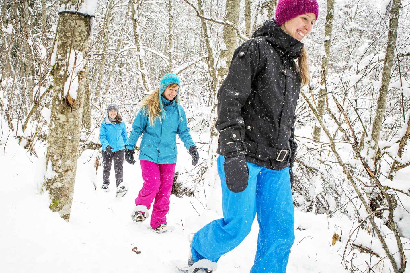 day trips from quebec city | parc national de la jacques-cartier