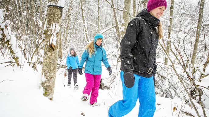québec parc national de la jacquescartier en raquettes