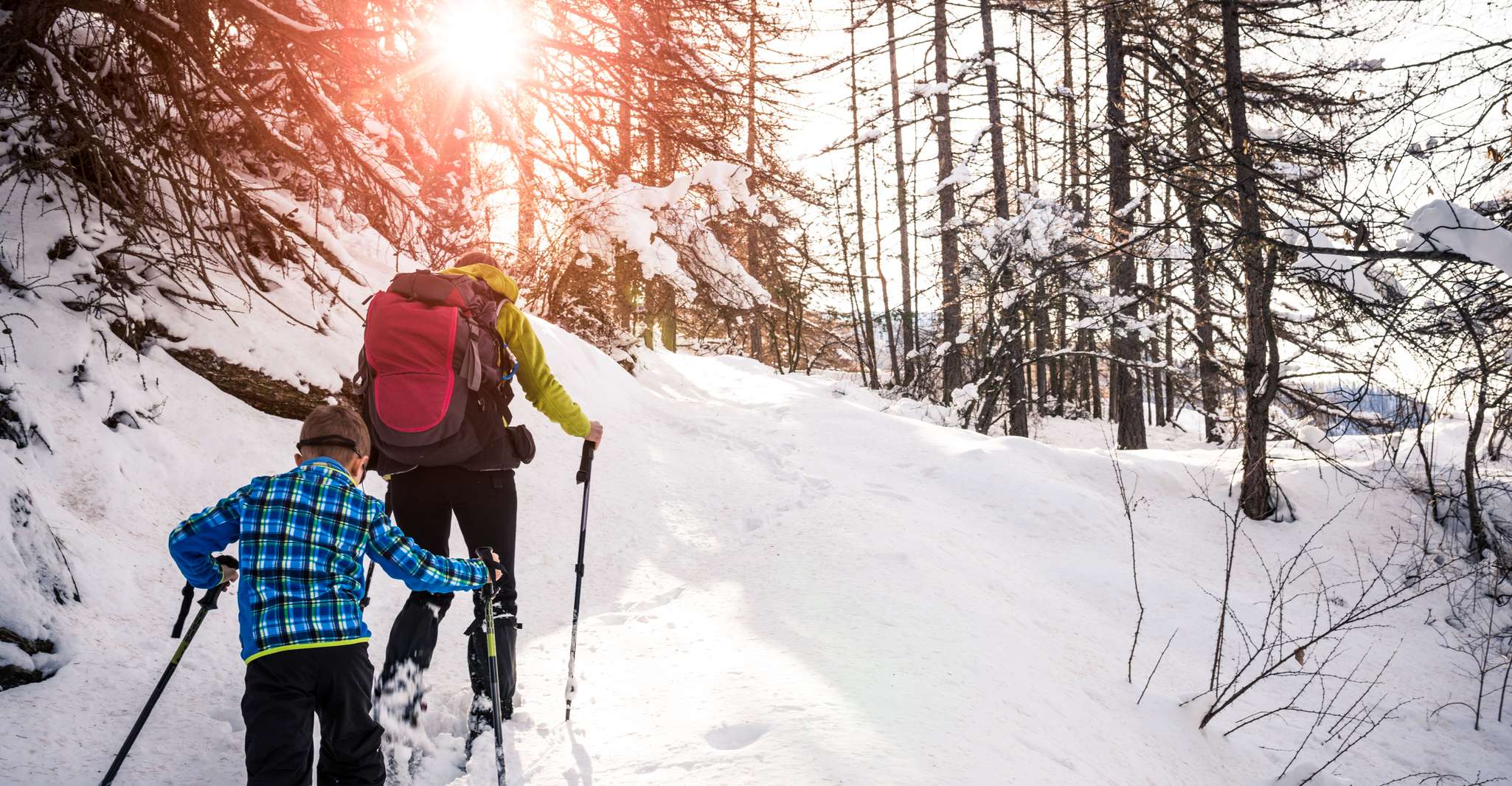 Quebec City, Jacques-Cartier National Park Snowshoeing Tour - Hizvo