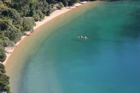 Marlborough Sounds Guided Kayak and Freedom Walk Tour