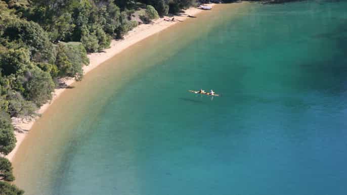 marlborough sounds guided kayak and freedom walk tour