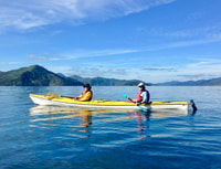 Visita guiada a Kayak y Freedom Walk de Marlborough - Hizvo