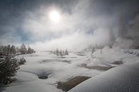 Jackson, Yellowstone Snowcoach Tour zu alttreu - Hizvo