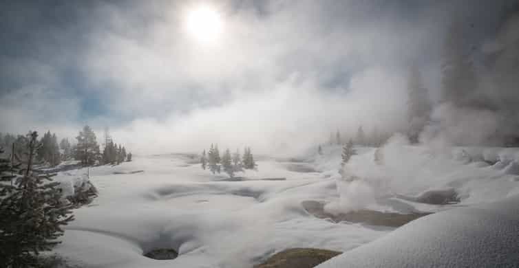 Jackson: Yellowstone Snowcoach Tour to Old Faithful photo 3