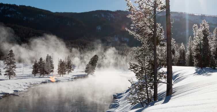 Jackson: Yellowstone Snowcoach Tour to Old Faithful photo 5