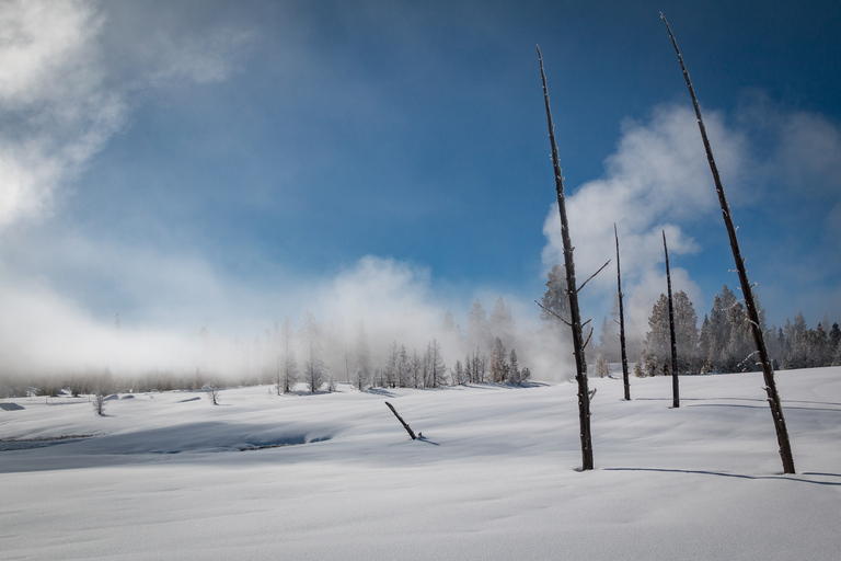 Jackson: Yellowstone Snowcoach Tour naar Old FaithfulJackson: Yellowstone sneeuwcoachtour naar Old Faithful