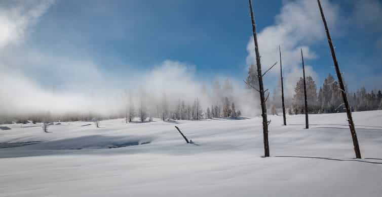 Jackson: Yellowstone Snowcoach Tour to Old Faithful photo 6