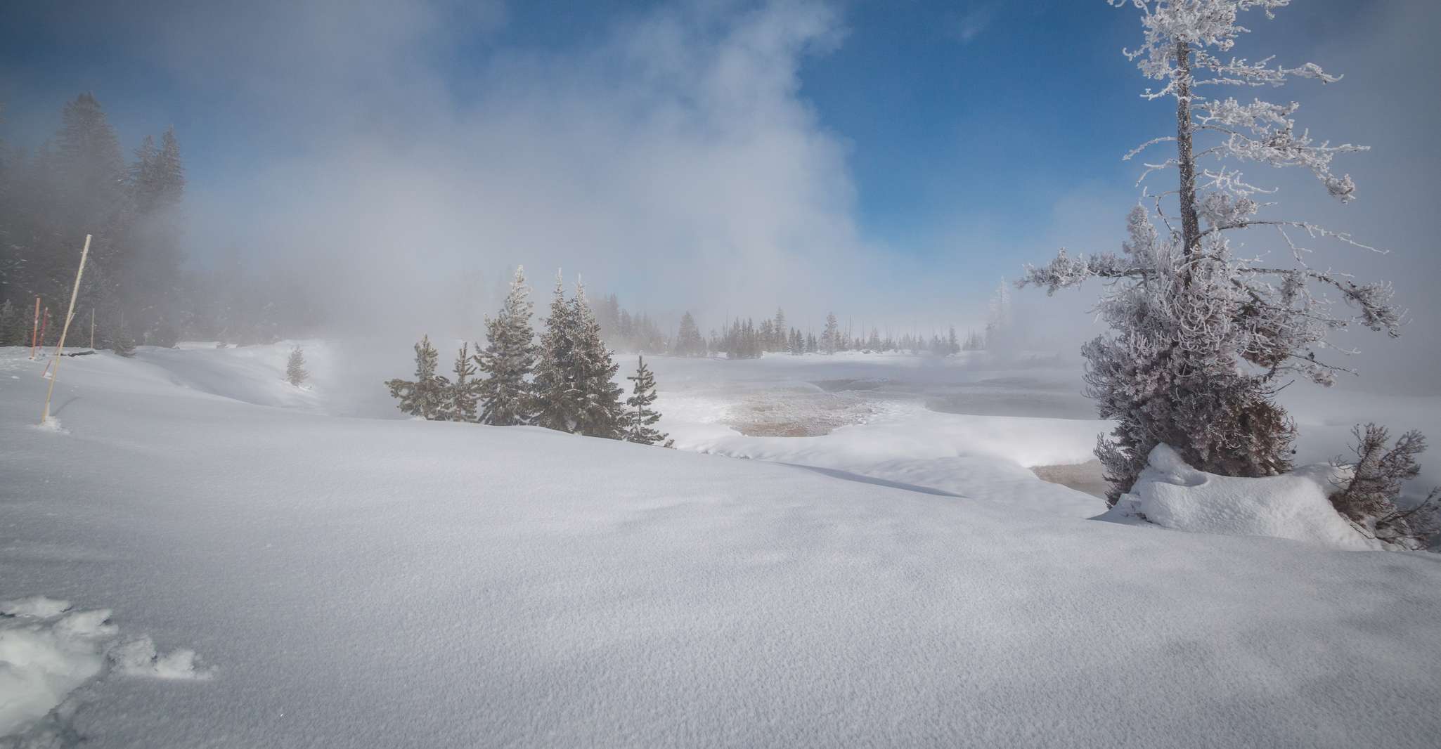 Jackson: Yellowstone Snowcoach Tour to Old Faithful photo 7