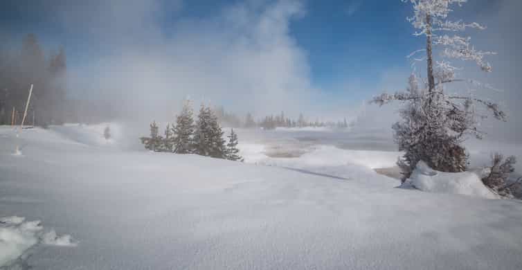 Jackson: Yellowstone Snowcoach Tour to Old Faithful photo 7