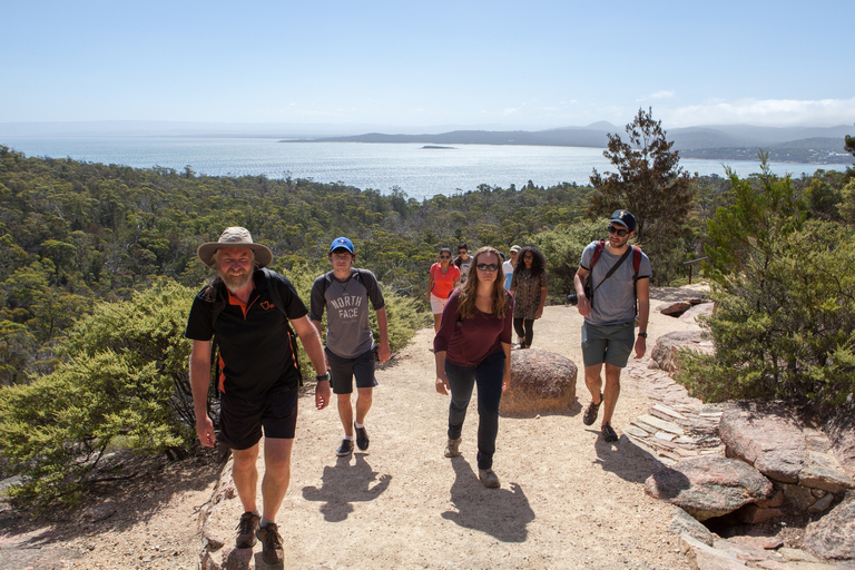 Hobart: Wineglass Bay Beach Iconic Hike