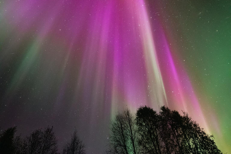 Levi: Nordlichter Pro garantiert – unbegrenzte EntfernungLevi: Nordlichter garantiert – unbegrenzte Entfernung