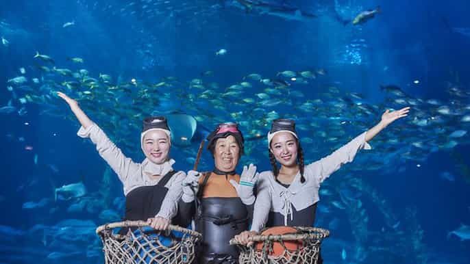 jeju aqua planet and optional underwater performance ticket
