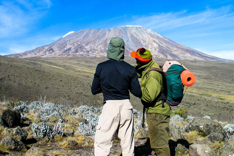 From Arusha: Mount Kilimanjaro Day Trip Hike