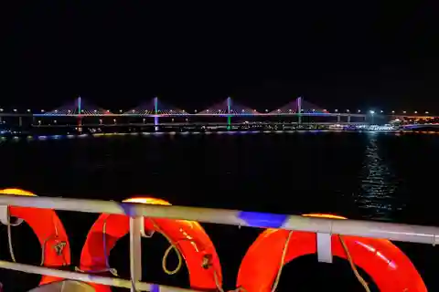 Panaji: Fun-Filled 2-Hour Mandovi River Cruise with Dinner