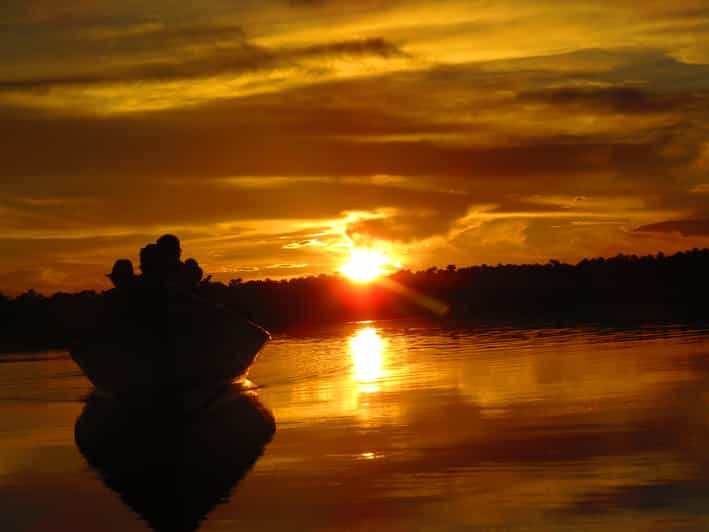 CAIMAN AND CAPIBARA SEARCH ON THE TAMBOPATA RIVER | GetYourGuide