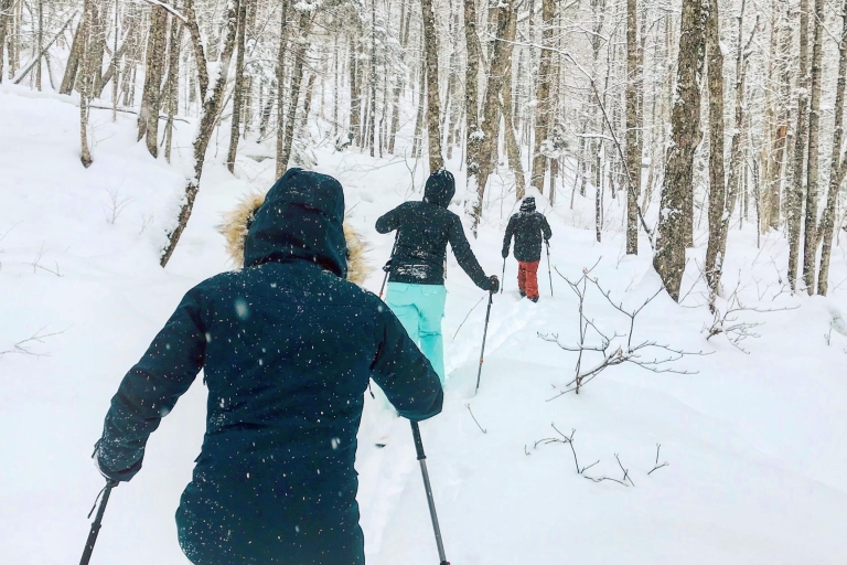 Parc national de la Jacques-Cartier : Excursion en skiParc national de la Jacques-Cartier : Excursion en raquettes à neige