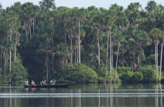 Puerto Maldonado: Ganztägiger Ausflug zum Lago Sandoval mit Kanufahrt