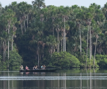 Puerto Maldonado: Viagem de 1 dia ao Lago Sandoval com canoagem