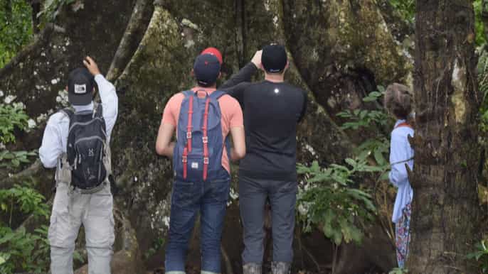 reserva nacional de tambopata e excursão noturna ao lago sandoval