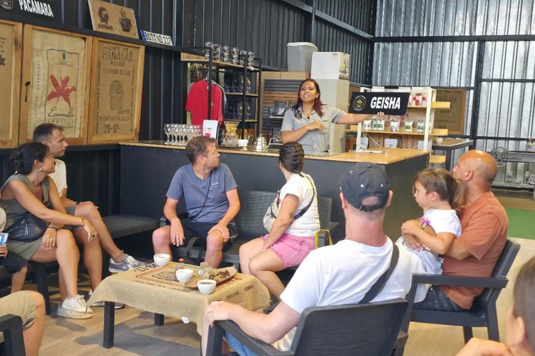 Boquete: Geisha Coffee Plantation Tour with Tasting
