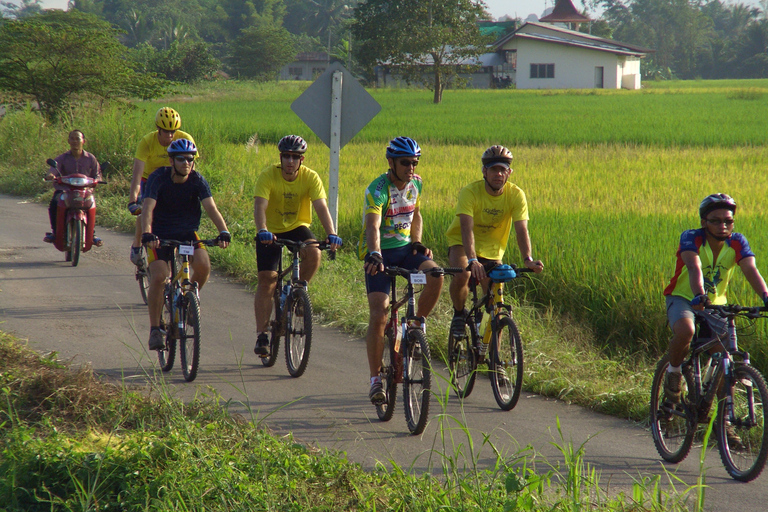 Au départ de Chiang Mai : Circuit cycliste de la vallée de Mae Taeng et des chutes d&#039;eau