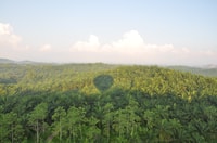 Dambulla, Sunrise Hot Air Balloon Tour - Housity