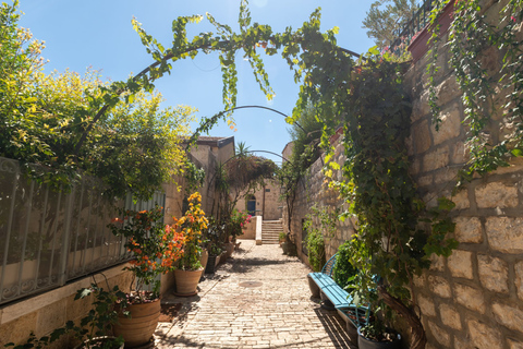 Desde Tel Aviv: tour de un día a Jerusalén