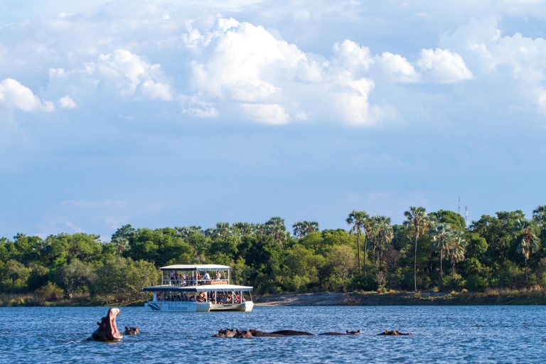 Van Victoria Falls: Zambezi Sunset CruiseZambezi River Cruise zonder Hotel Pickup