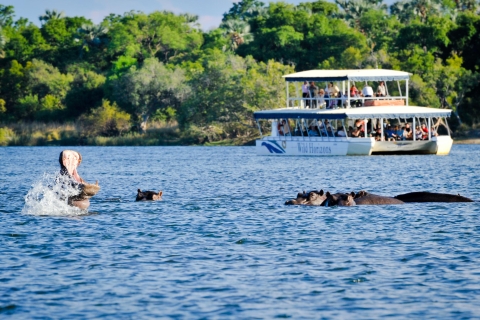 From Victoria Falls: Zambezi Sunset Cruise Zambezi River Cruise without Hotel Pickup