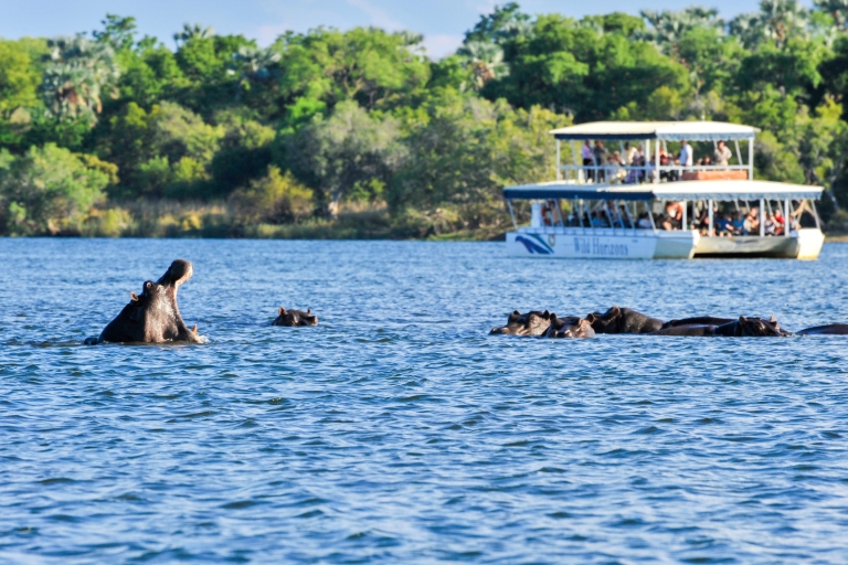 Van Victoria Falls: Zambezi Sunset CruiseZambezi River Cruise met Hotel Pickup