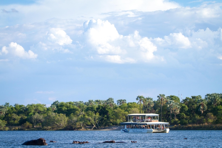 From Victoria Falls: Zambezi Sunset Cruise Zambezi River Cruise with Hotel Pickup