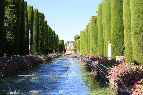 Córdoba: tour guidato di 2 ore dell&#039;Alcázar e del quartiere ebraicoTour in spagnolo e inglese