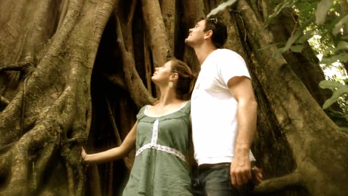 port douglas daintree national park boutique tour