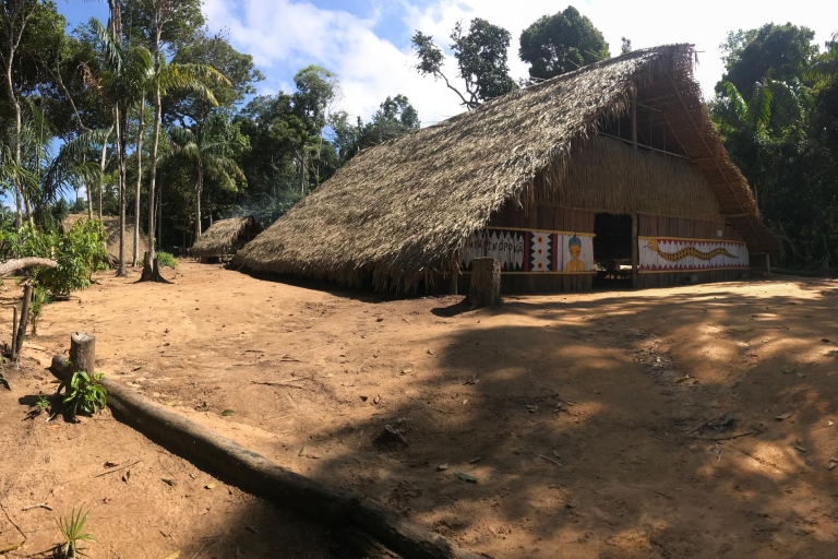De Manaus: excursion d'une demi-journée sur la rivière Negro