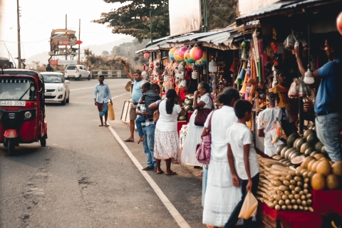 Kolombo: prywatna wycieczka piesza z przewodnikiemOpcja standardowa