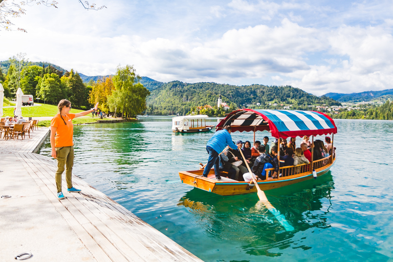 Ljubljana of Bled: dagtrip naar het meer van Bled en de grot van PostojnaVan Ljubljana: dagtrip naar het meer van Bled en de grot van Postojna