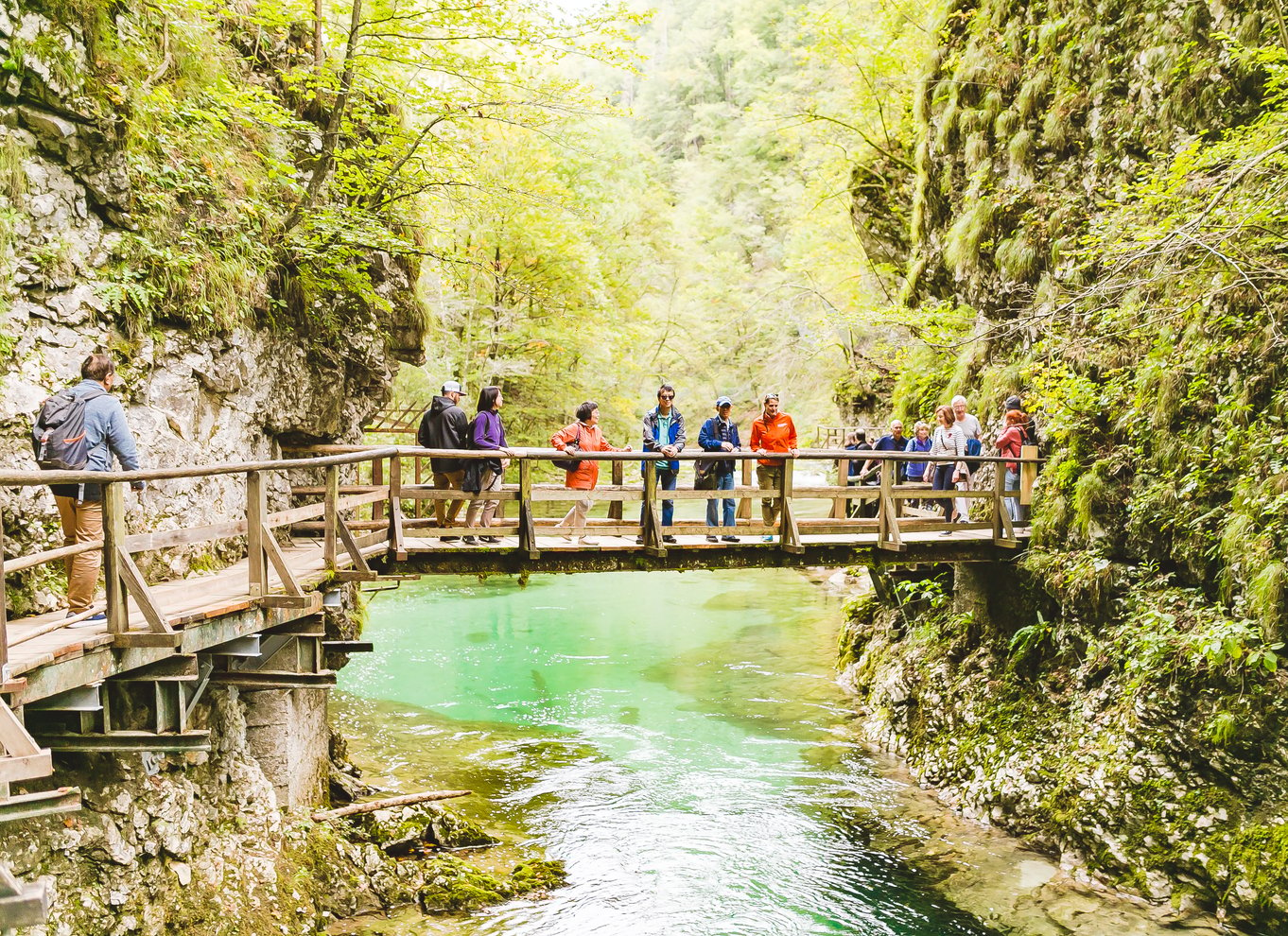 Fra Ljubljana: Dagsudflugt til Bled og Vintgar-slugten