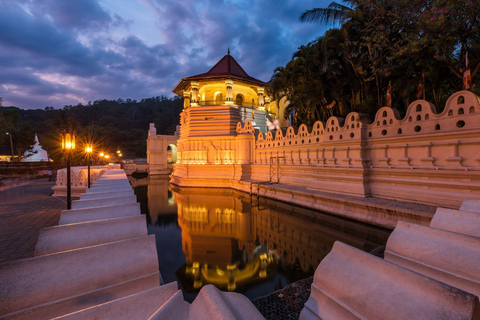 Sri Lanka: 2-dagars rundtur till Sigiriya, Dambulla och Kandy