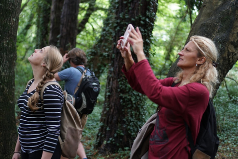 Dublin: Küstenwanderung mit Howth-AbenteuerHowth-Küstenwanderung