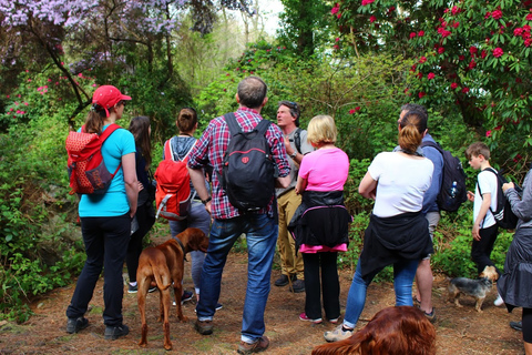 Dublin: Howth Coastal Hiking TourDublin: Howth Peninsula Coastal Hiking Tour