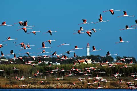 Interior Algarve & Guadiana River Private Day Tour